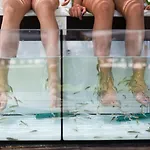 Aquashow Park Quarteira
