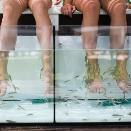 Aquashow Park Quarteira