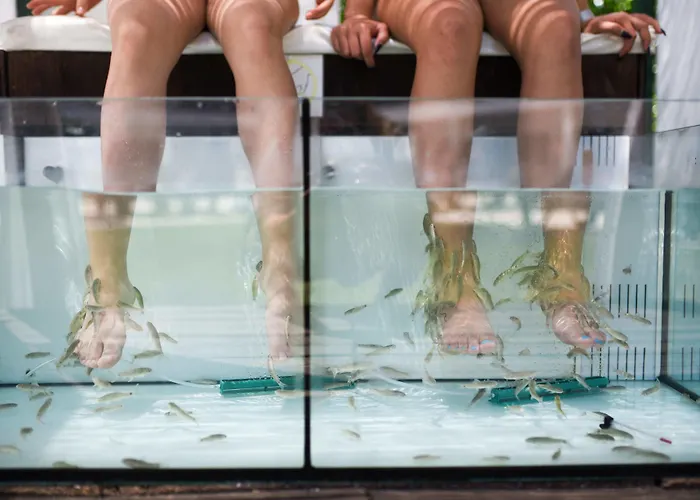 Aquashow Park Quarteira